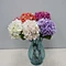 hydrangea bulk flowers